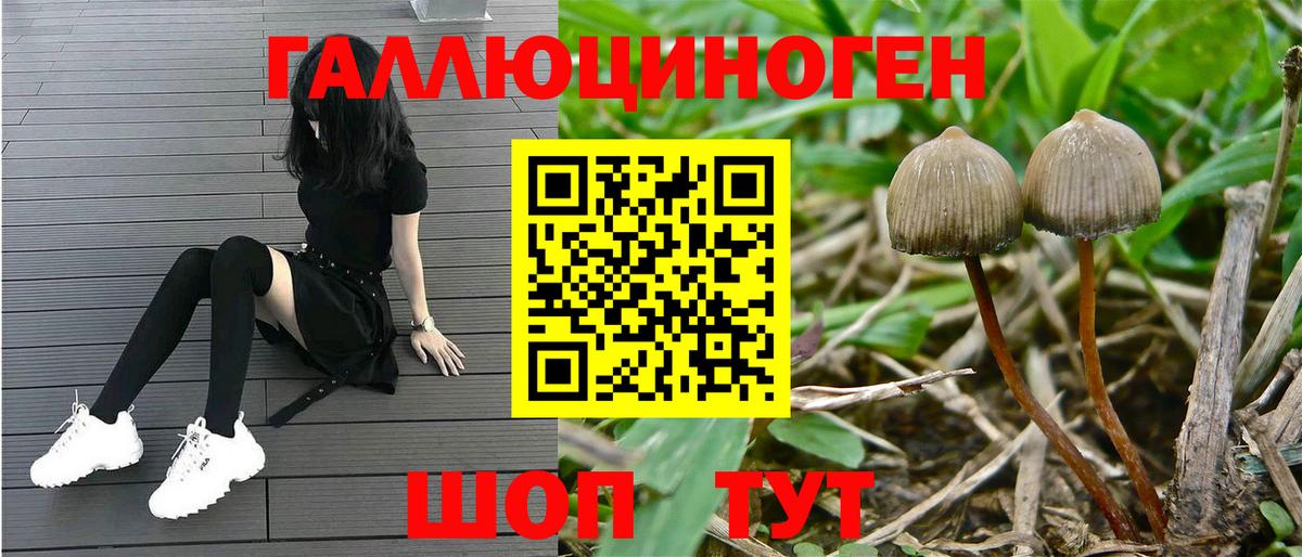 Заринск  Псилоцибиновые грибы GOLDEN TEACHER  Вход с VPN  наркошоп  Псилоцибиновые грибы MAGIC MUSHROOMS 
