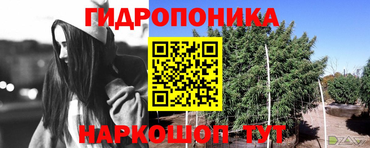 Марихуана сатива  Вход с VPN  Шишки марихуана THC 21%  Заринск 